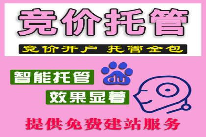 SEM推广竞价案例：转化率提升秘诀