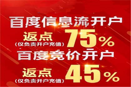 解析SEM竞价代运营公司的技术实力与服务优势