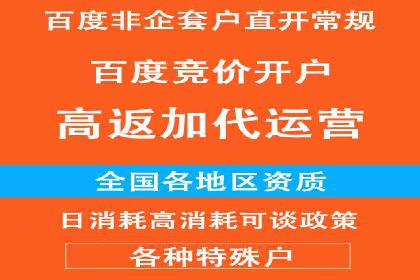 SEM服务案例：助力企业拓展海外市场